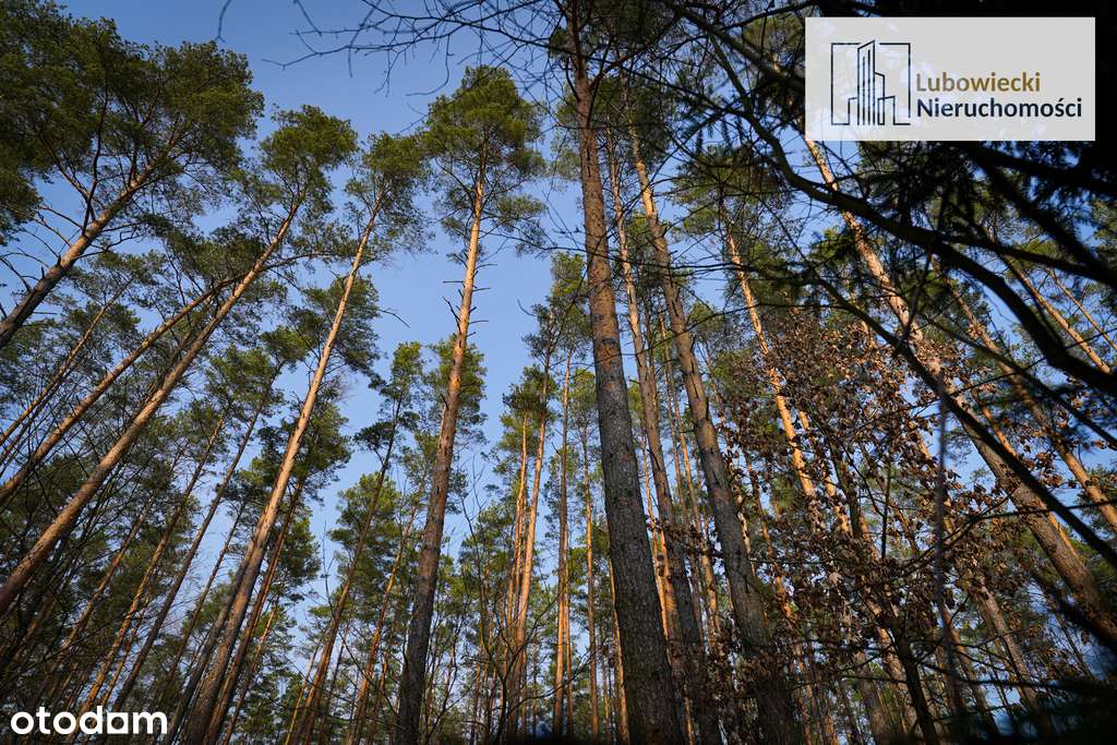 Domek letniskowy 380 m od Jeziora Wałpusz - Pełny obrazek: 5/18