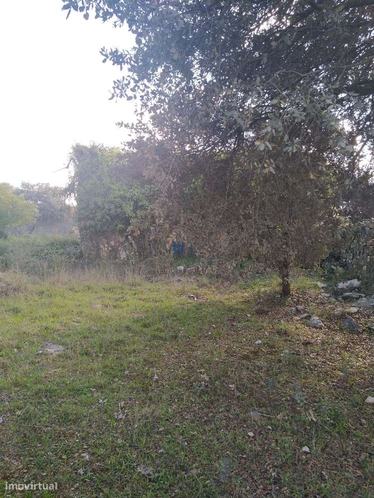 Terreno  em Fátima no lugar de Boleiros-9