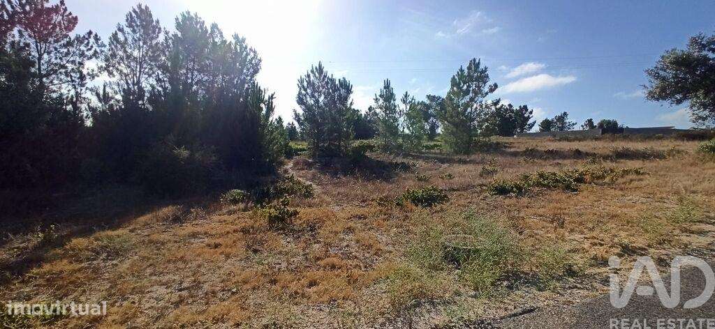 Terreno para construção em Coruche, Fajarda e Erra de 522,00 m2 - Grande imagem: 4/6