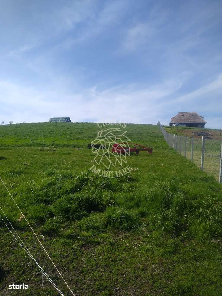 Teren 2500 mp-ideal agricultura/cabane/sera-panorama-Monariu - Imagine principală: 5/5