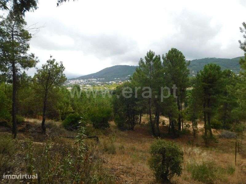 Terreno para Construção / Fundão, Aldeia Nova - Grande imagem: 4/12
