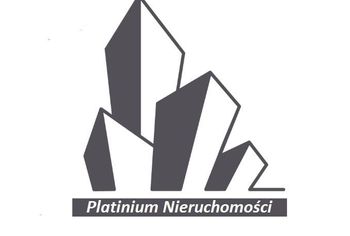 PLATINIUM Nieruchomości Logo