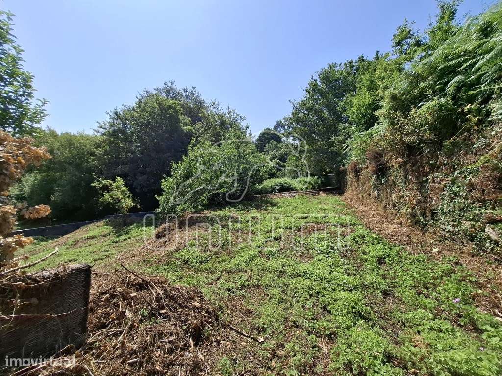 Moradia Lanheses - Grande imagem: 5/14