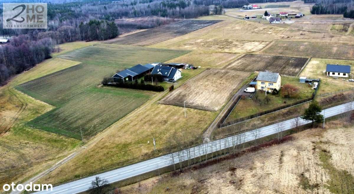 40 arów z WZ w Janowcu-5