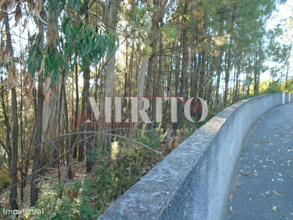 Venda Terreno - Grande imagem: 4/6