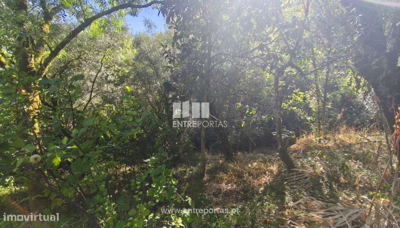 Venda de Moradia em pedra, Rio Cabrão, Arcos de Valdevez - Grande imagem: 5/27