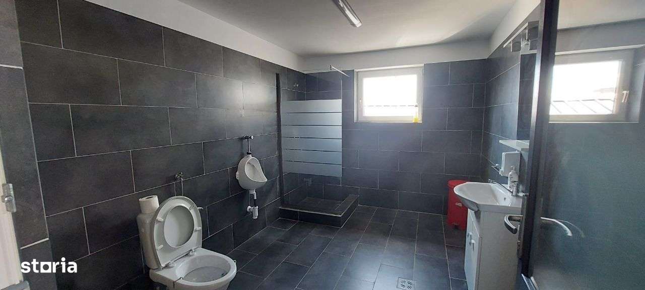 Imobilstar inchiriaza hale cu pod rulant - Imagine principală: 5/6