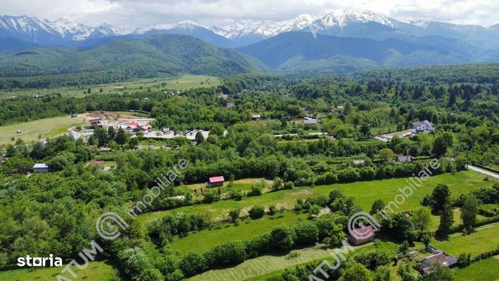 Teren Intravilan pe Valea Avrigului loc Avrig suprafata 7100 mp - Imagine principală: 4/4