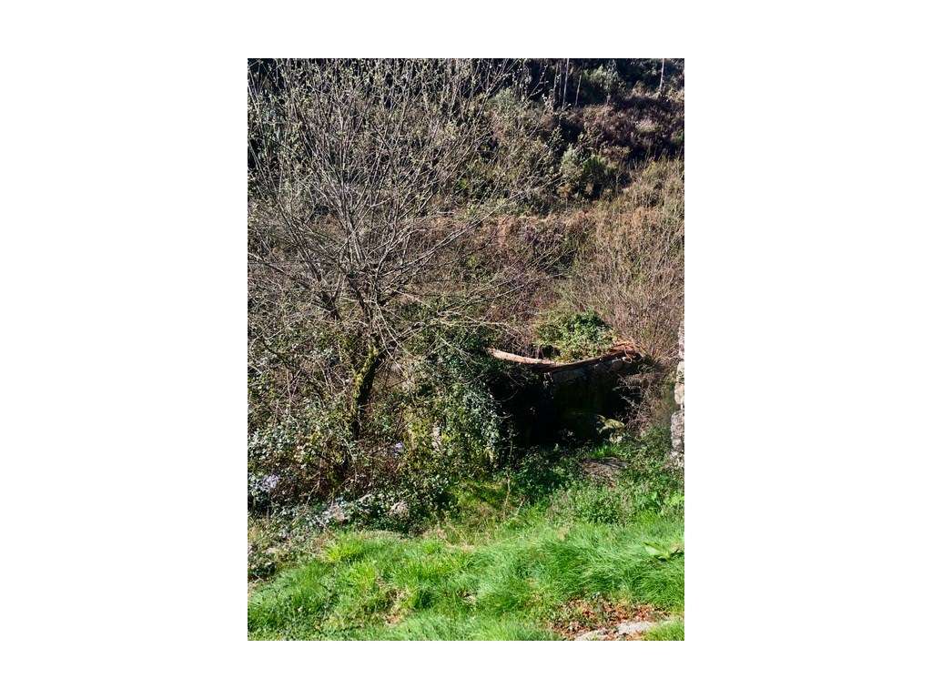 Moinhos Para Recuperar OPORTUNIDADE-13