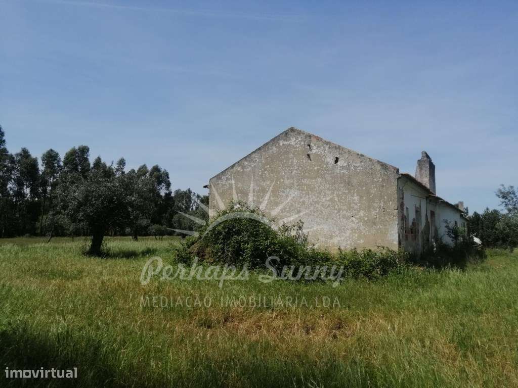 Quinta - Grândola - Grande imagem: 5/29