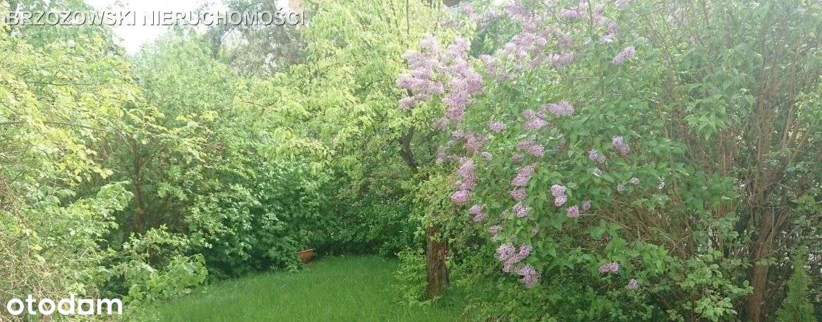 Marysin Wawerski, 675 m2, Mpzp, wielorodzinna-2