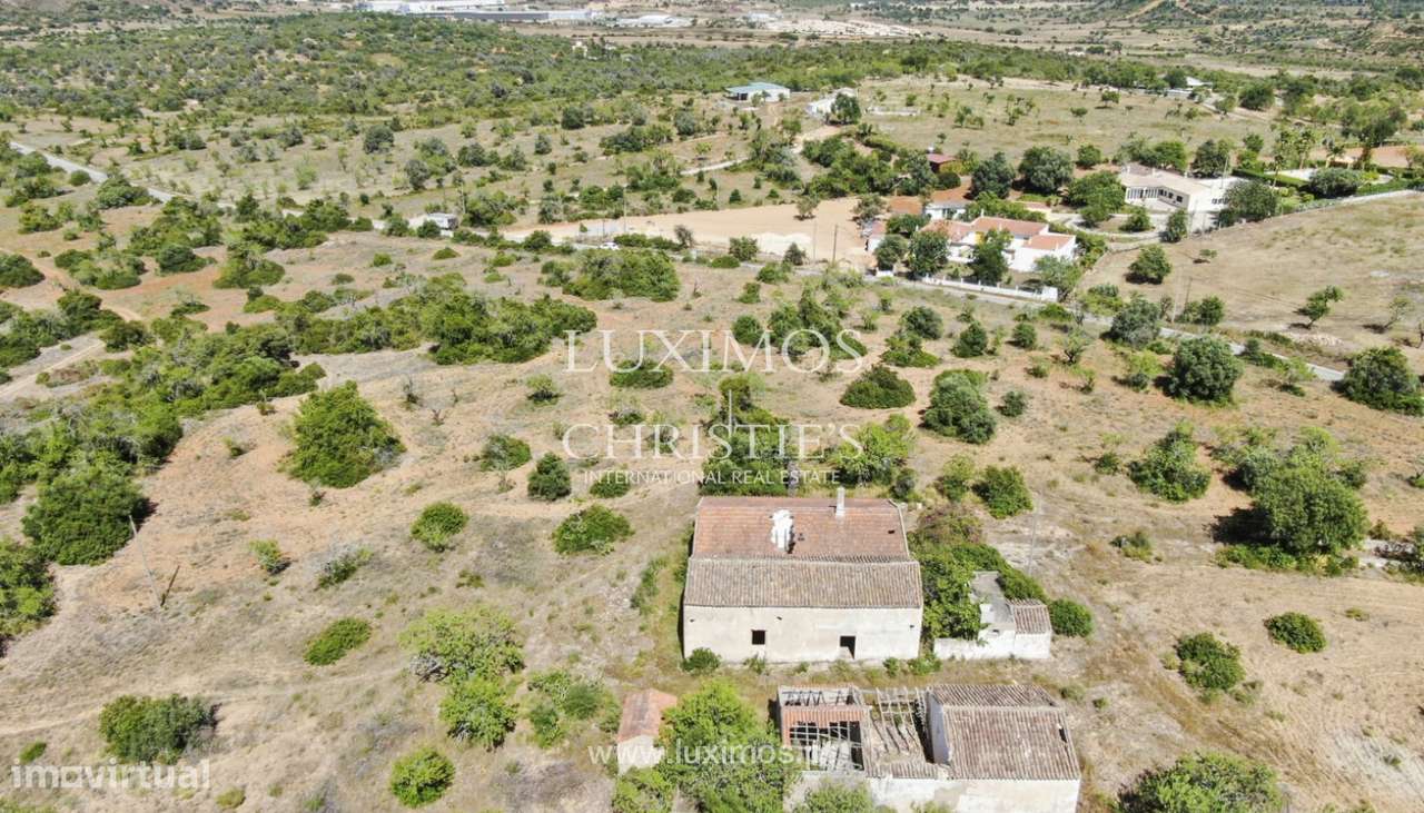 Quinta Rural, para venda, Pêra, Alcantarilha - Grande imagem: 3/22