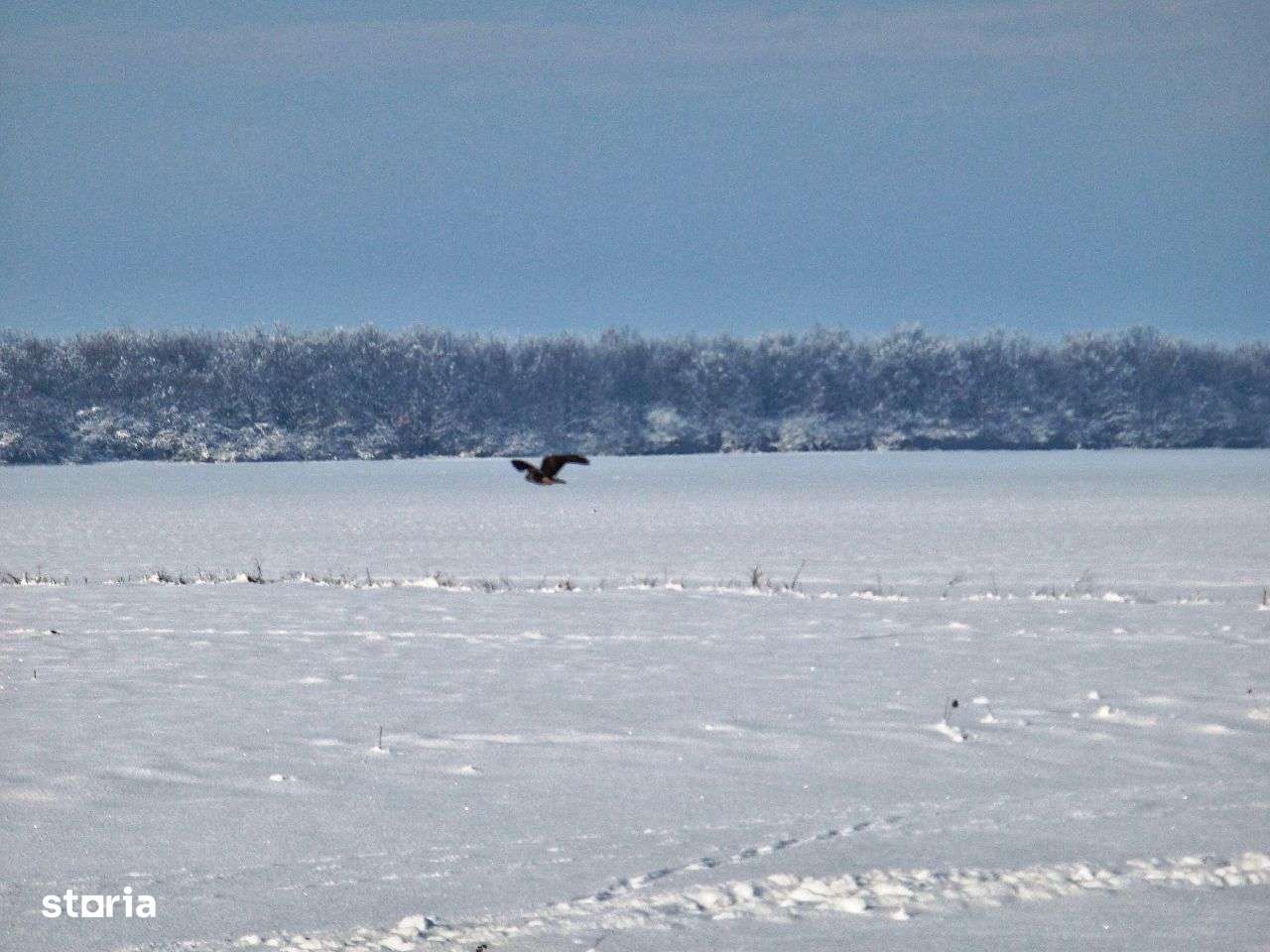 Ocazie investitie zona Frumușani, langa proiect in dezvoltare.-10
