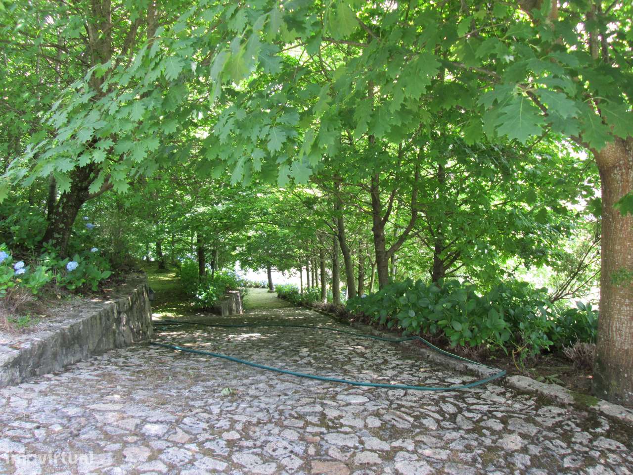 Quintinha no Minho Ponte de Lima * 10.000 m2 * a 90 Km do Porto-46