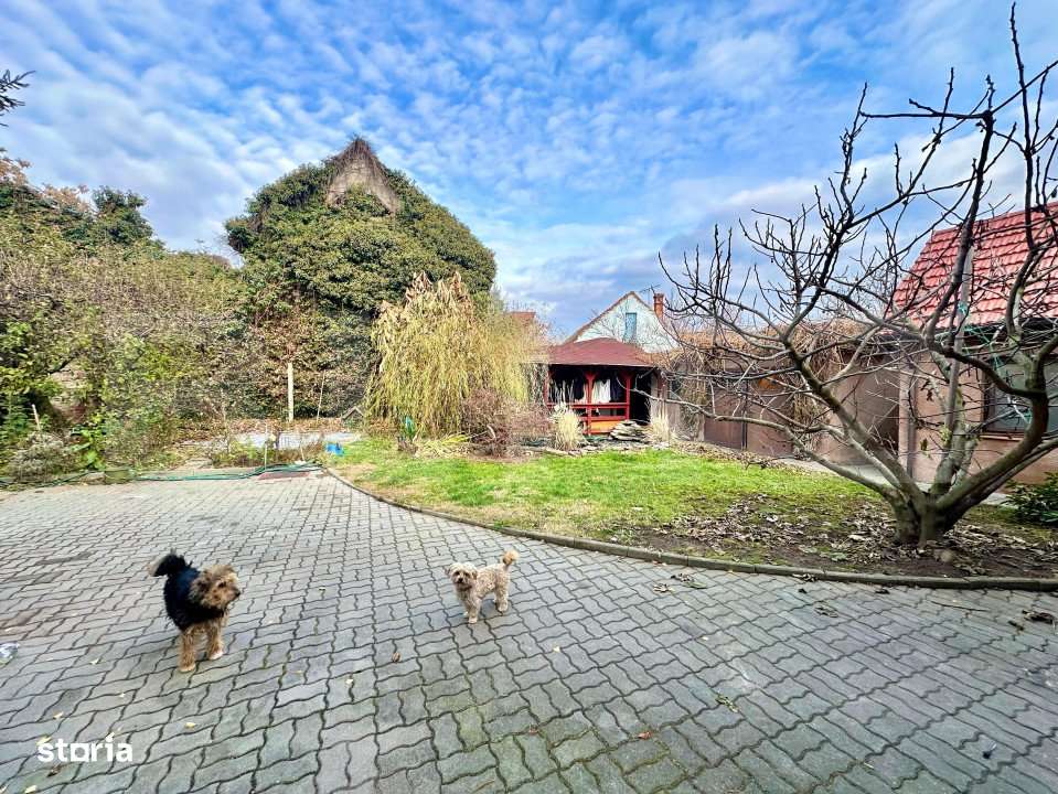 Casa spatioasa cu  5 camere, 210 mp, potrivita pentru locuinta sau bir - Imagine principală: 5/15