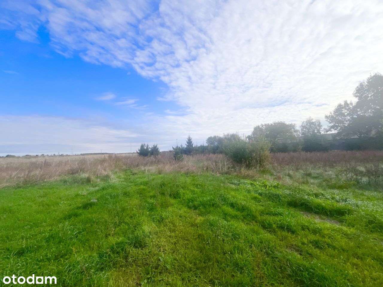 Duża działka usługowa / media / atrakcyjna oferta / pełna infrastruktu-5