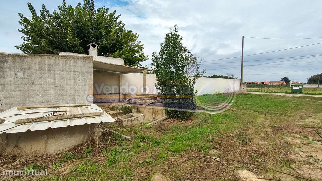 Terreno em Marinhais (M611) - Grande imagem: 3/8