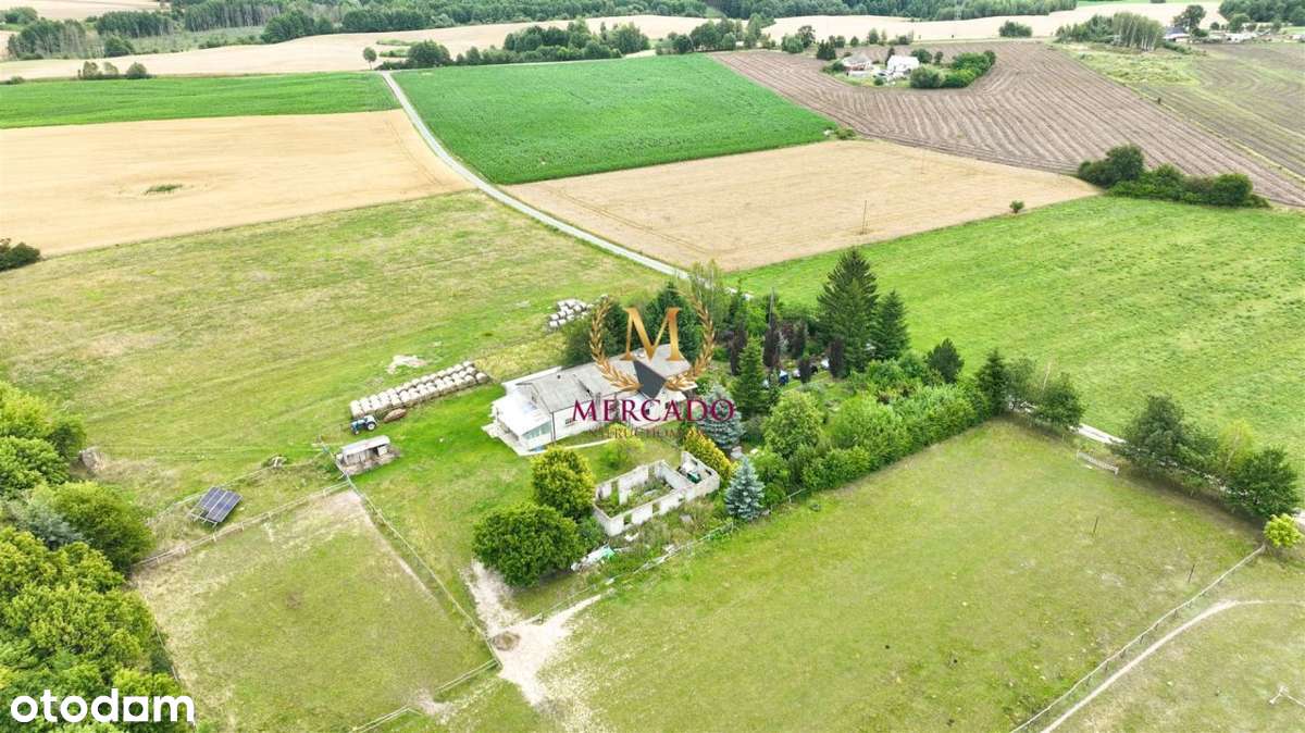 Gospodarstwo 22ha z dostępem do natury – Psary! - Pełny obrazek: 3/20