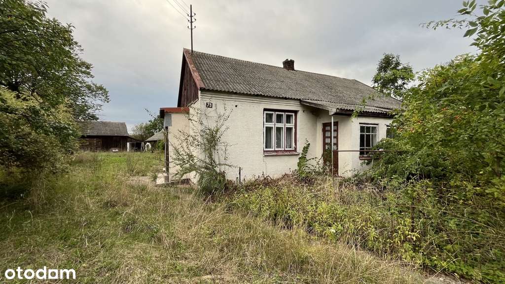 Siedlisko na dużej działce w Dobrucie gm. Orońsko. - Pełny obrazek: 5/12