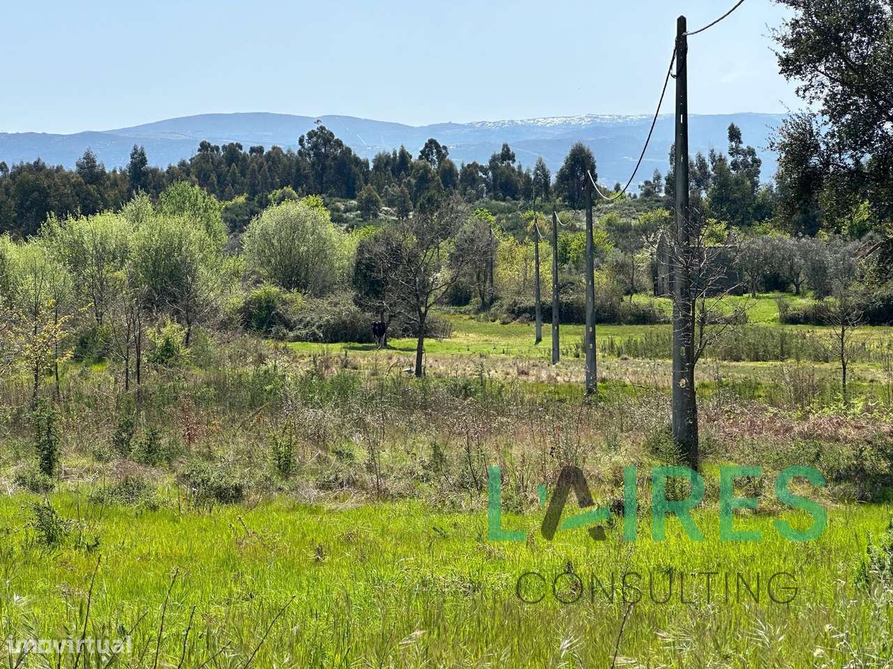 Vende-se em Pinhanços, Seia-11