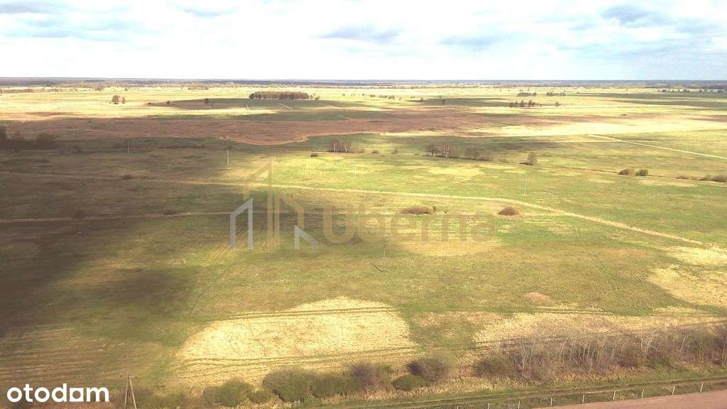 Działka rolna niezabudowana nad jeziorem - Pełny obrazek: 4/7