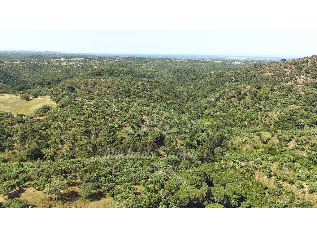 Terreno Misto - São Francisco da Serra - Melides-15