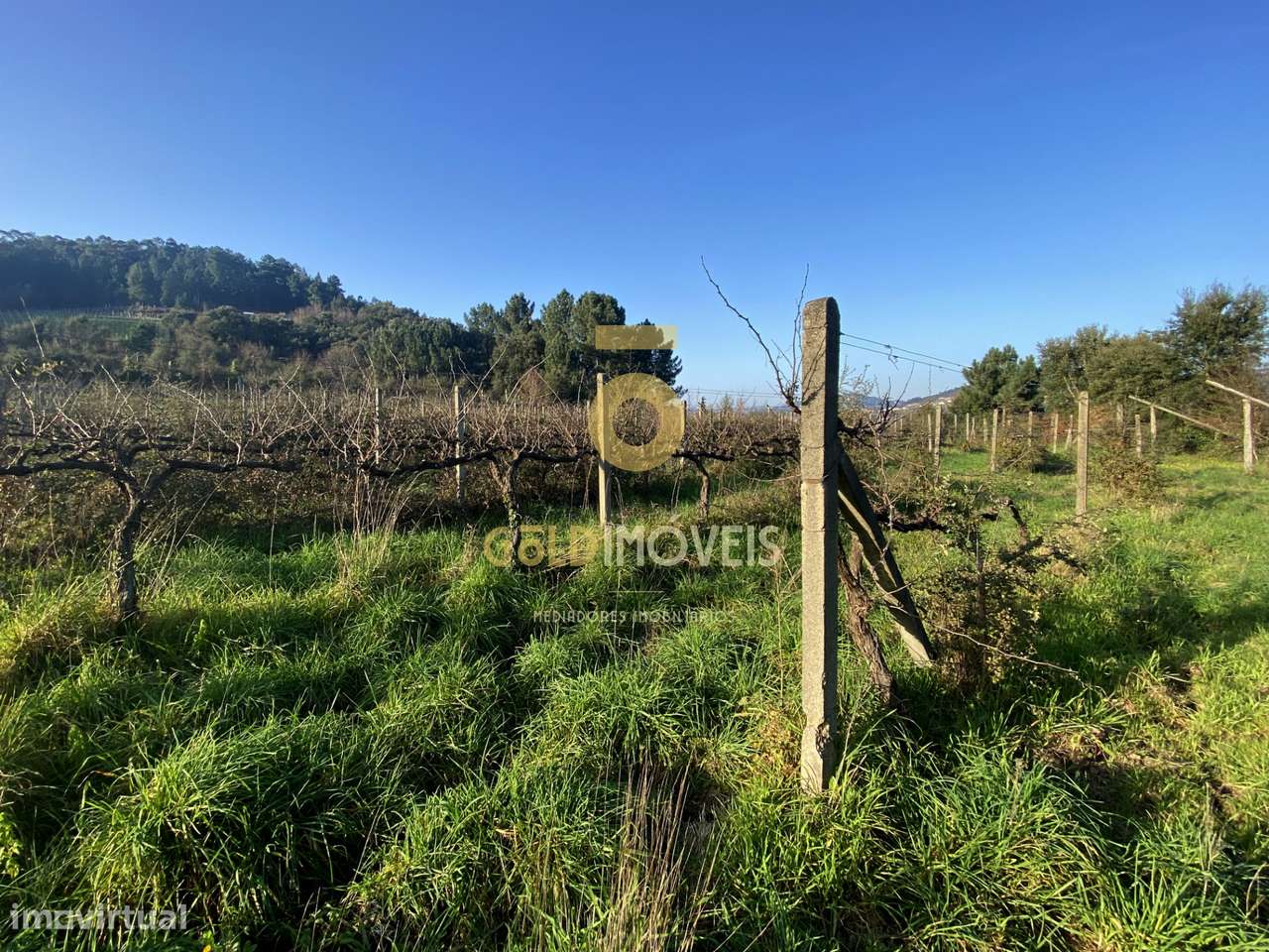 Terreno Rústico - Grande imagem: 5/10