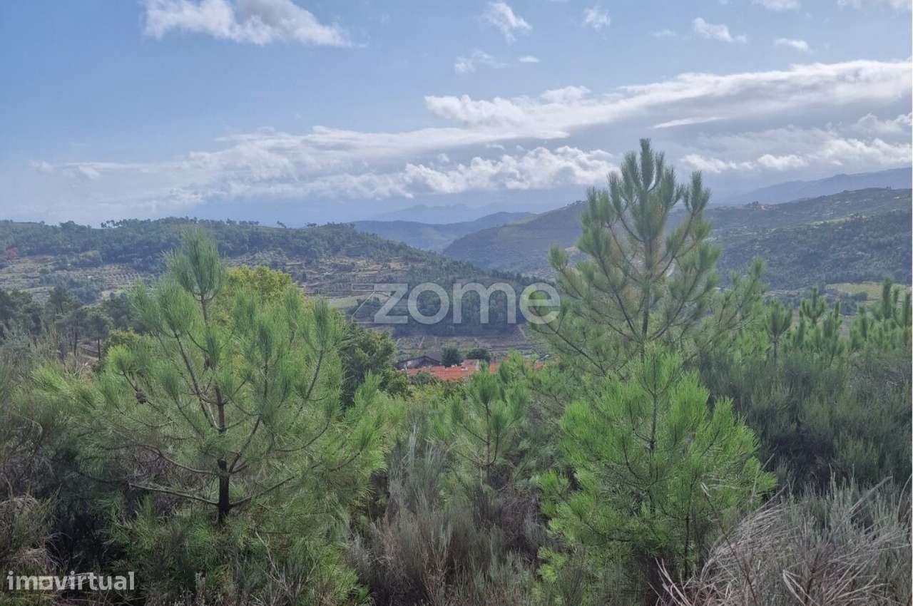 Terreno Urbanizável para Venda em Pegarinhos , Alijo - Grande imagem: 2/7