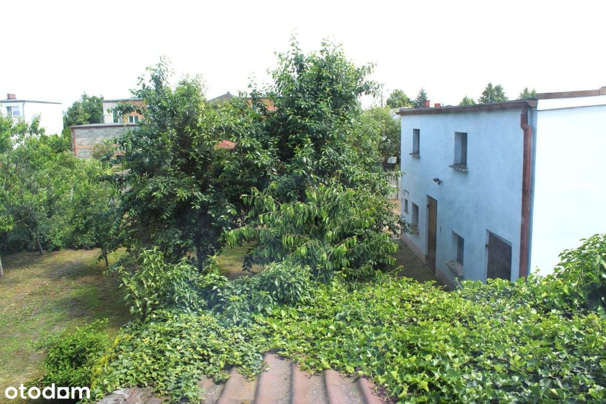 Dom wolnostojący Granowo - Pełny obrazek: 4/13