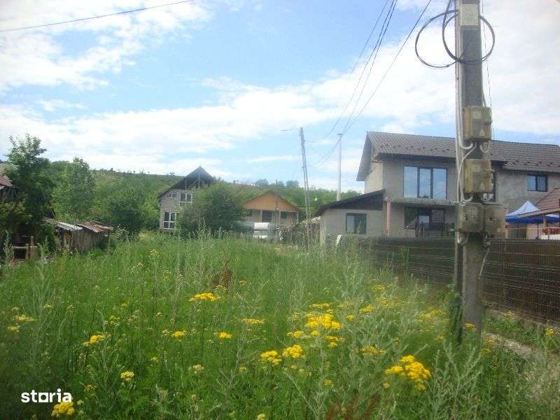 Teren intravilan arabil situat in Sat Potocelu, Jud. Dambovita - 30808-3