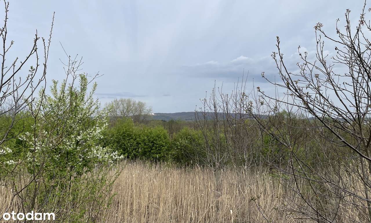 Panoramiczna działka, Skotniki 15.5ar, możliwość dokupienia do 67ar - Pełny obrazek: 4/5