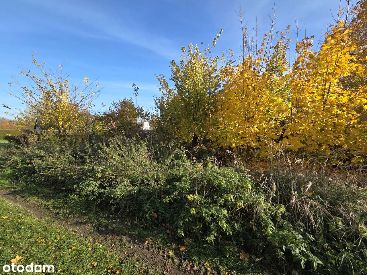 Niepruszewo - działka rekreacyjna, blisko jeziora-3