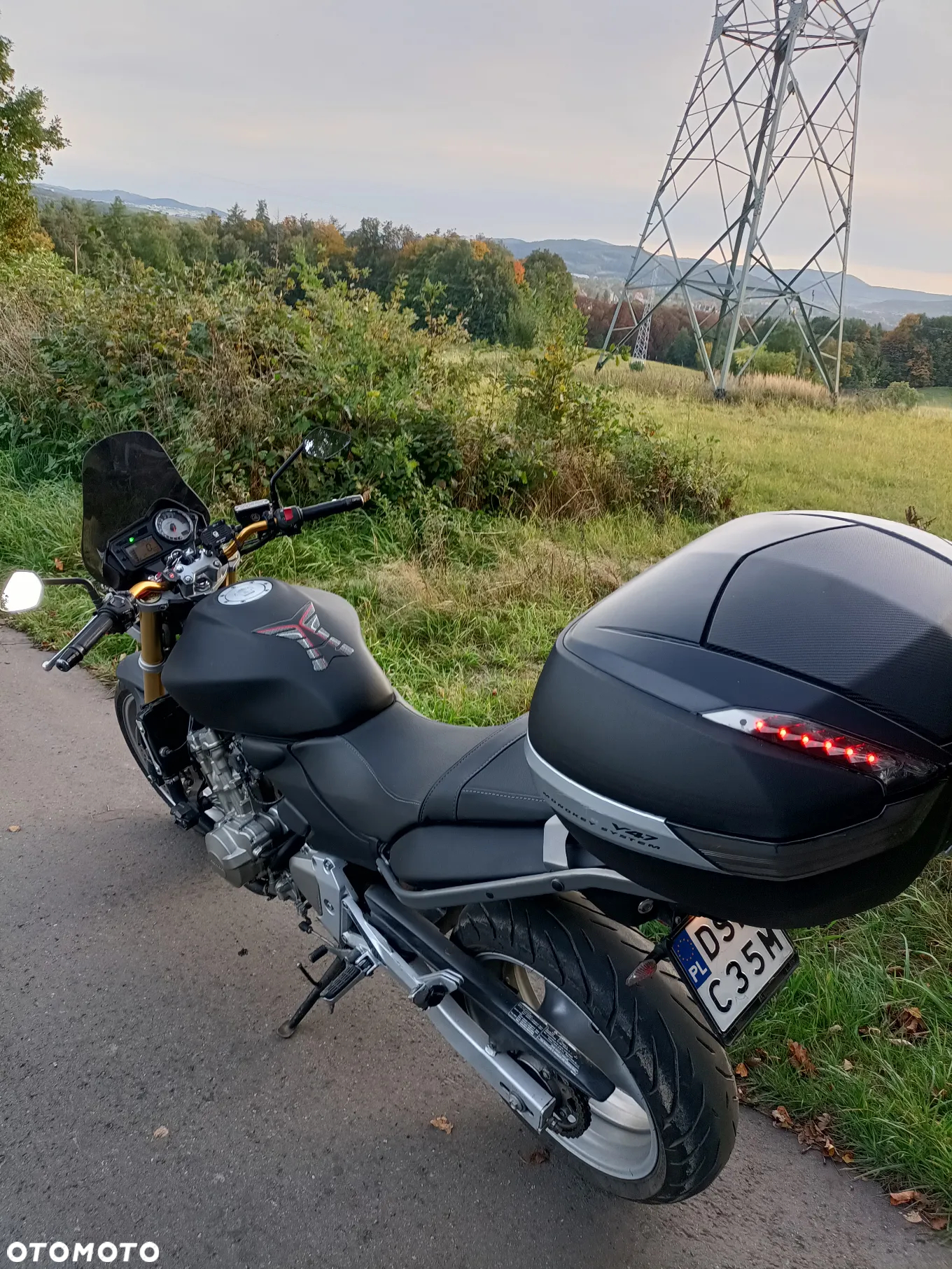 Honda Hornet - 7