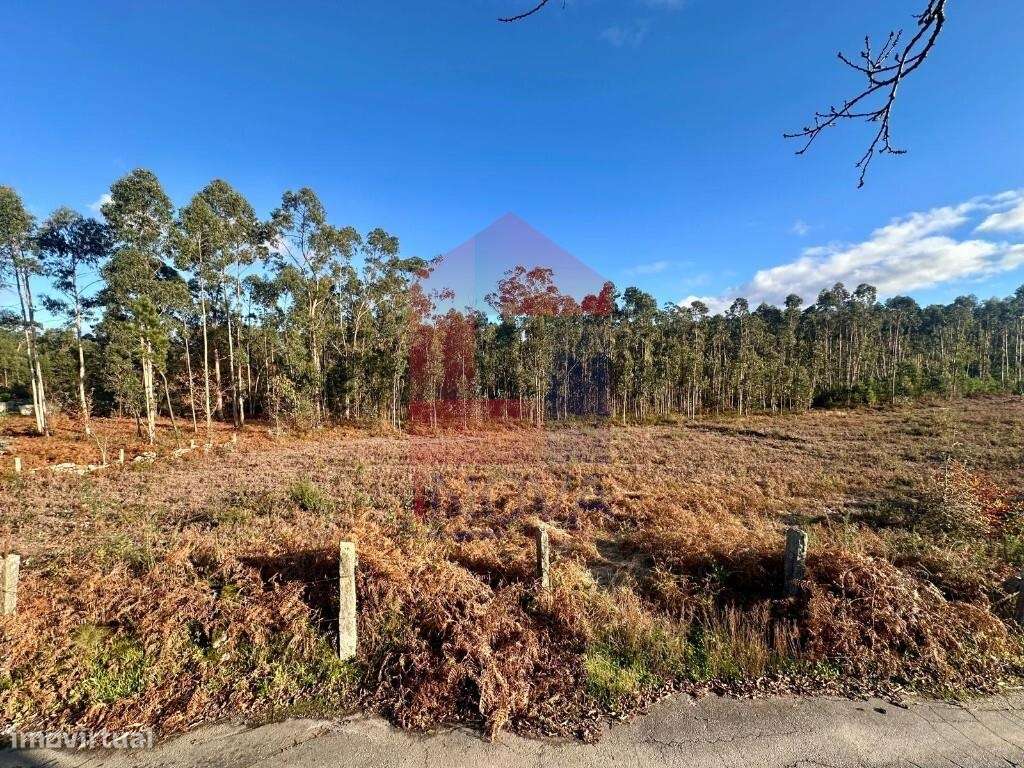 Terreno para construção, Igreja Nova - Grande imagem: 3/22