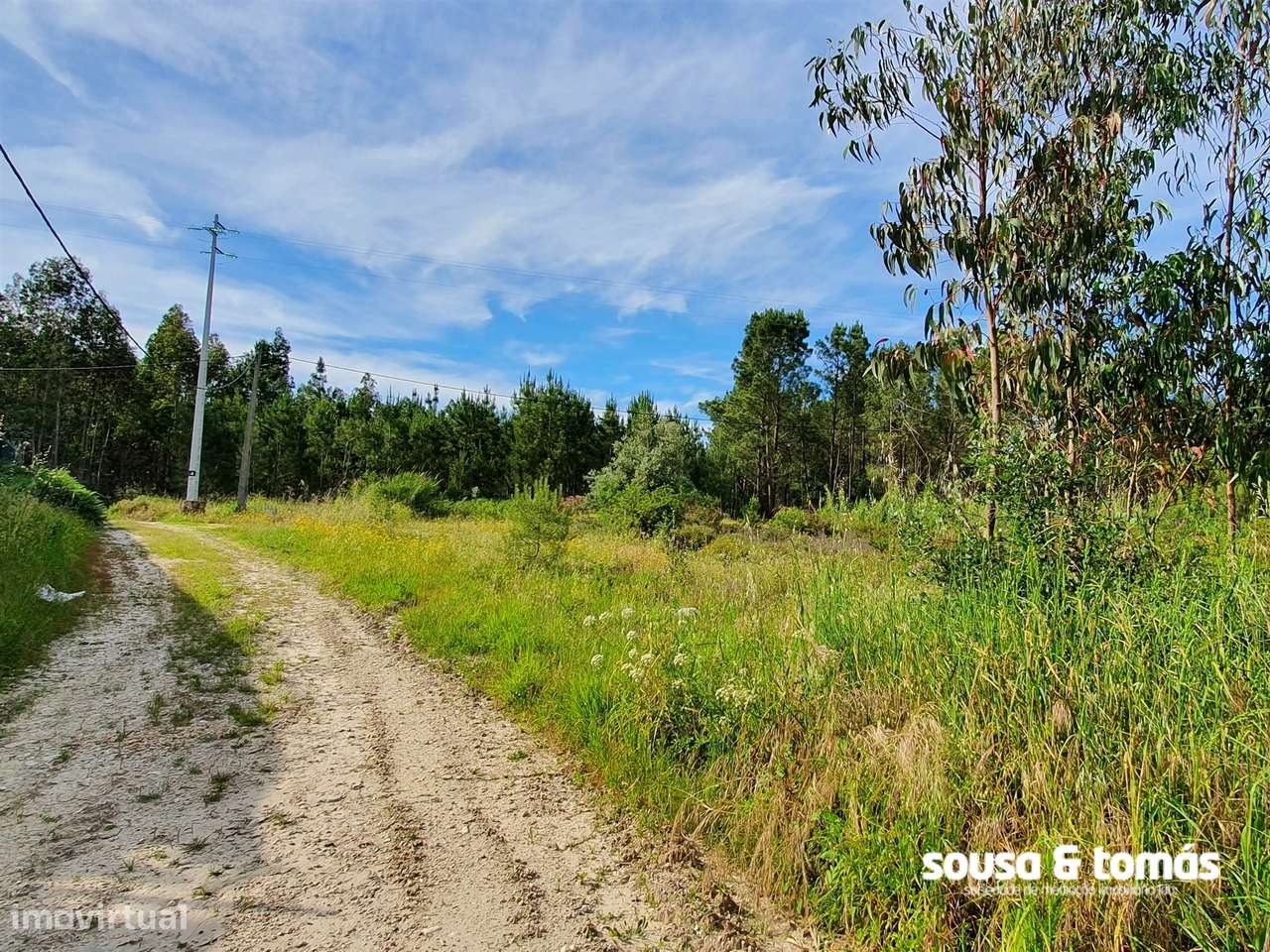 Terreno  Venda em Amor,Leiria-8