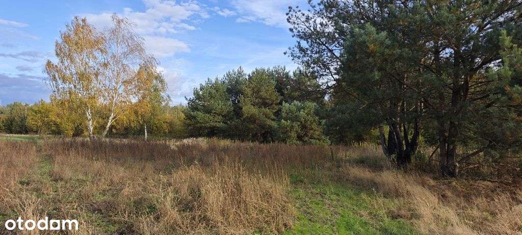 Borzęcin Mały-urokliwa działka budowlana-6