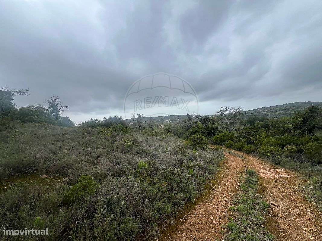 Terreno  para venda - Grande imagem: 2/11
