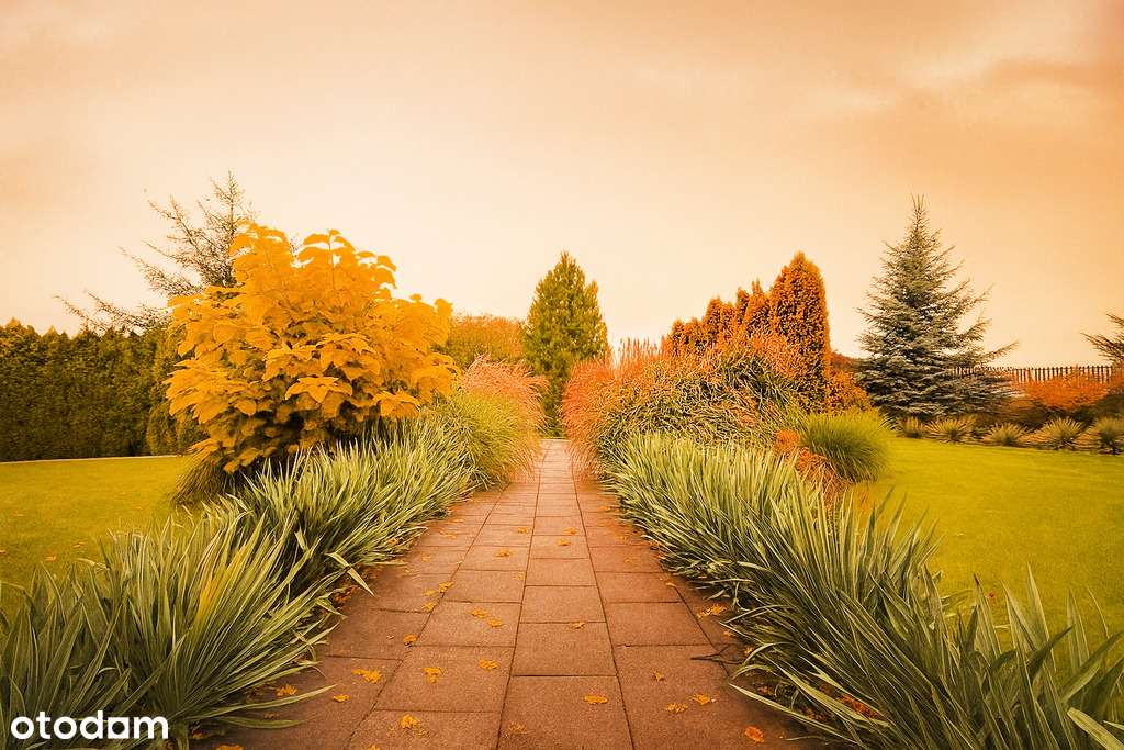 Dzień Otawrty-DOM PARTEROWY k. Łodzi-2