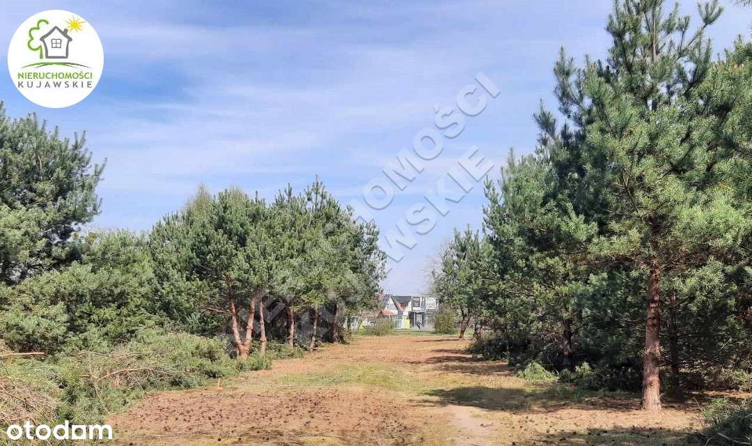 OSTATNIA Działka 1002m2 pod zabudowę, Głogowo - Pełny obrazek: 3/9