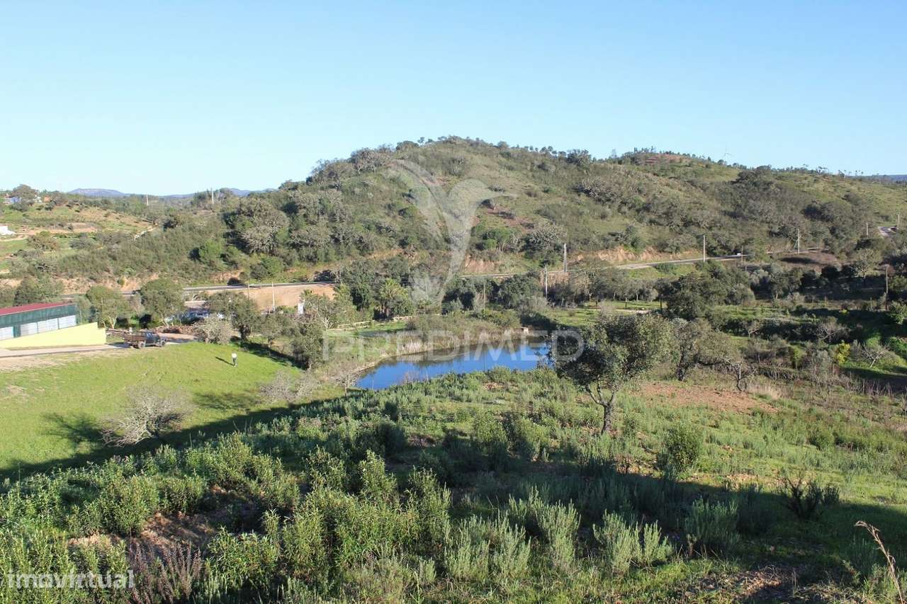 Vende-se Terreno Rústico em São Bartolomeu de Messines - Grande imagem: 5/6