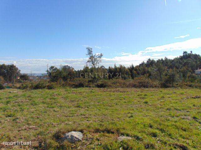 Terreno  com possibilidade de 20 lotes para construção! - Grande imagem: 4/7