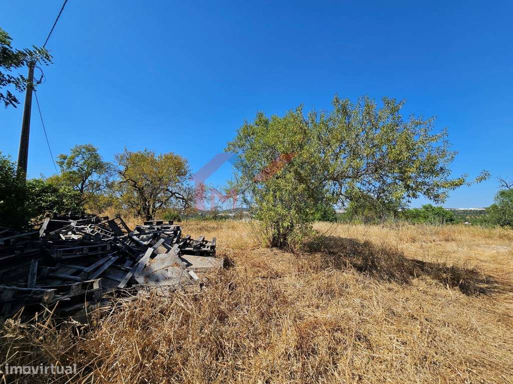 Moradia tradicional V5 para recuperar com terreno de 31.000 m2 - Loulé-4