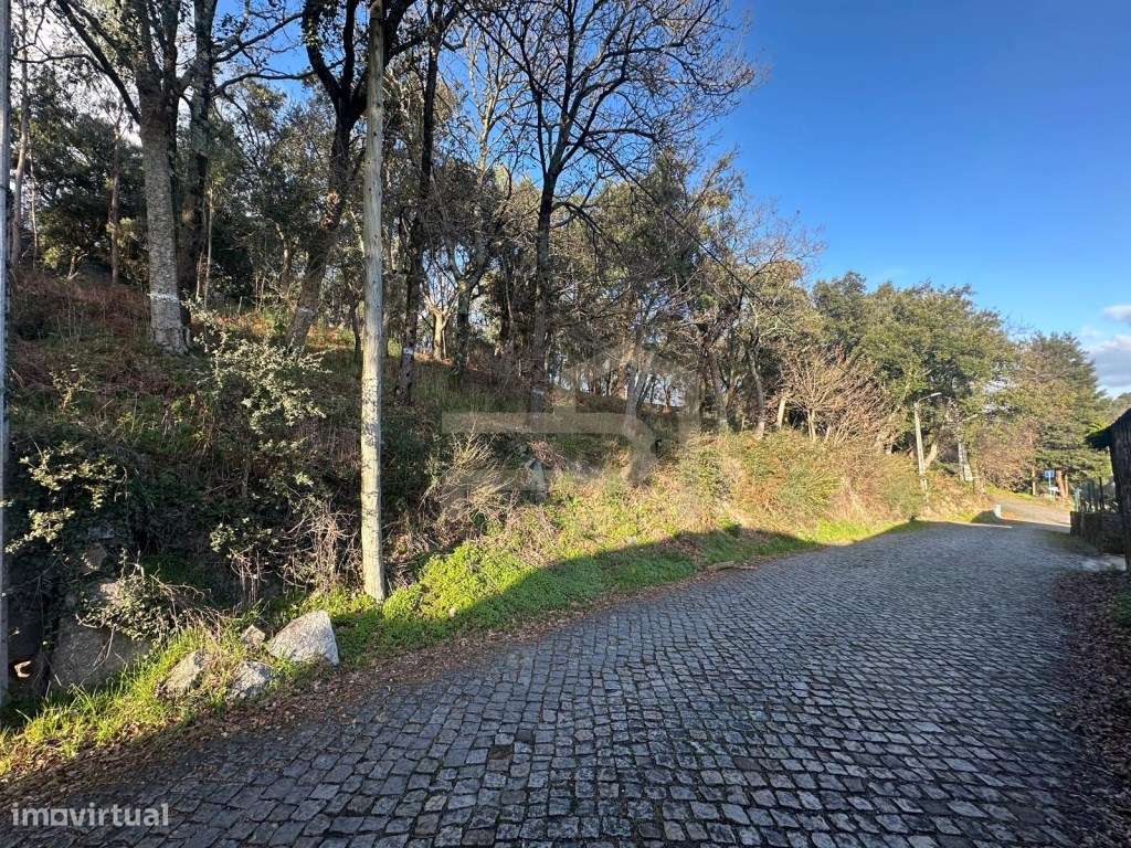 Vende-se terreno de construção com 7.000 m2.-7