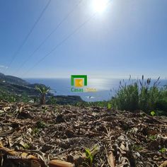 TERRENO - TABUA - Grande imagem: 2/11
