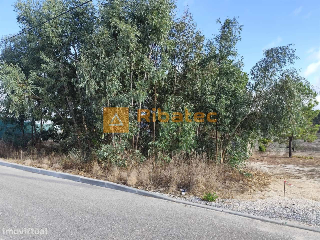 Terreno na Branca - Grande imagem: 5/5