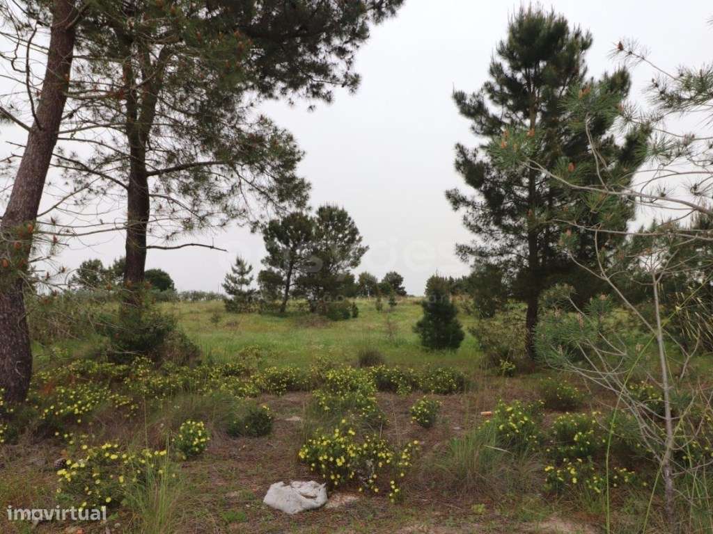 Terreno Rústico com viabilidade de Construção - Grande imagem: 2/8
