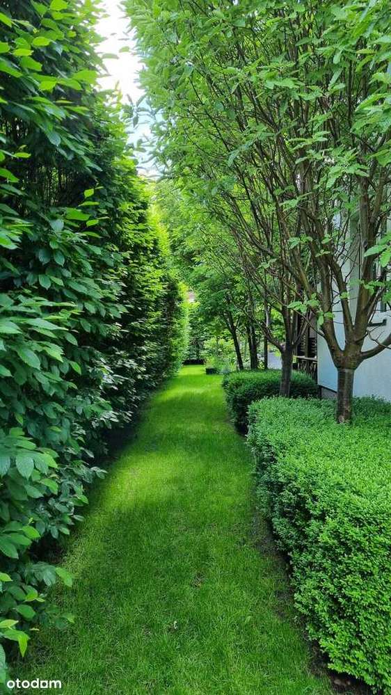 Bielany | Kalinowej Łąki | Dom z duszą-13