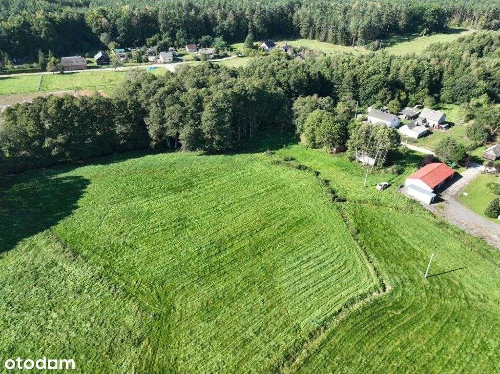 Działka pod lasem i blisko jeziora - Pełny obrazek: 5/11