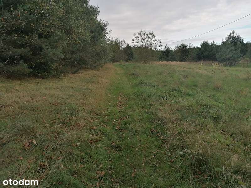 Działka w Przechodzie-3