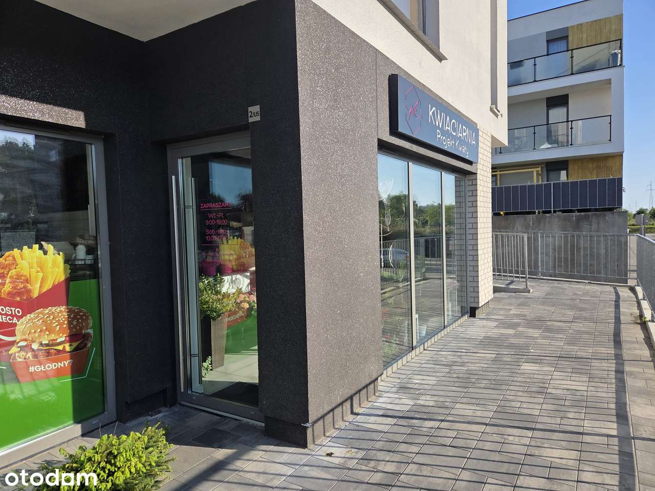 Lokal z aktywnym najmem Moderna - Pełny obrazek: 5/12